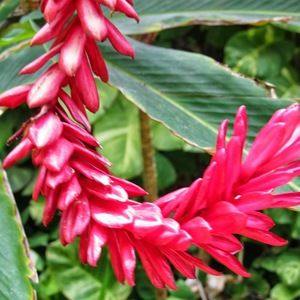 Meet your Posher, Bridgette